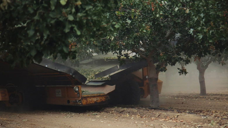 кадр из фильма Pistachio Wars