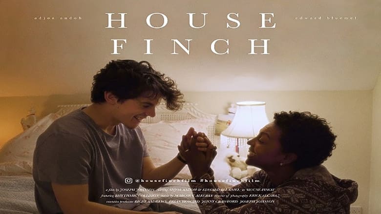 кадр из фильма House Finch