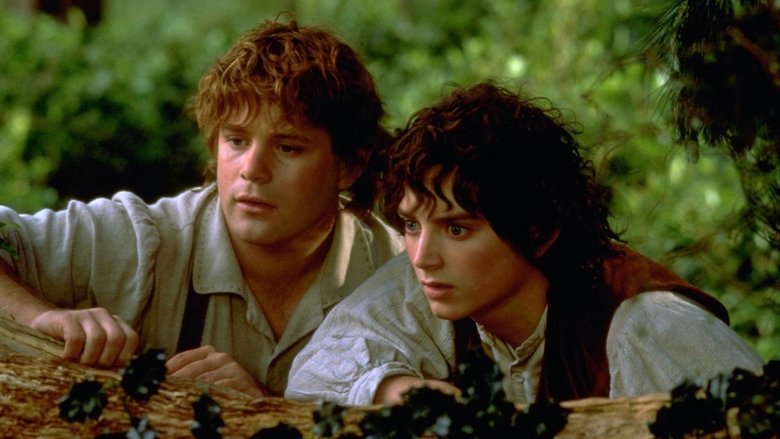 кадр из фильма Властелин колец: Братство кольца