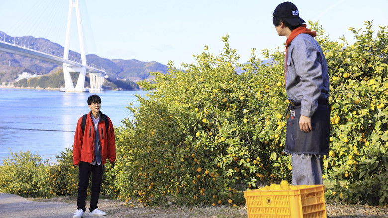 кадр из фильма 僕もアイツも新郎です。