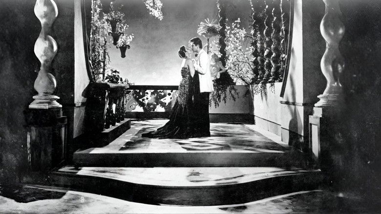 кадр из фильма Бродяга