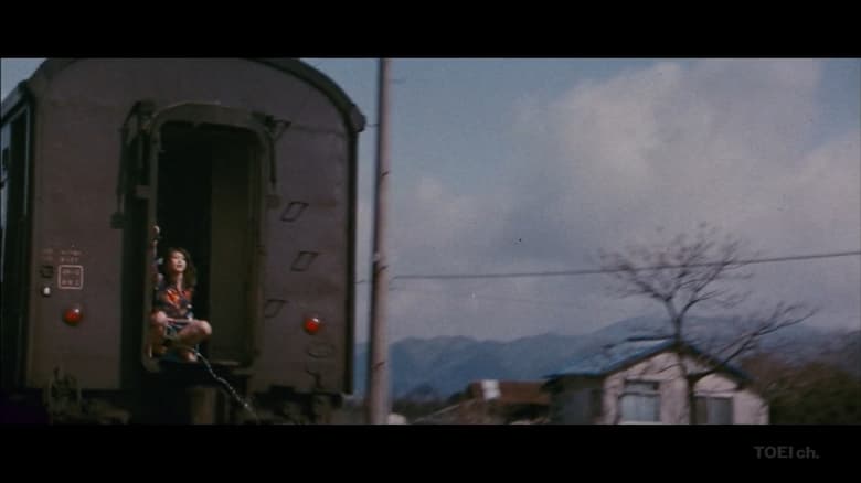 кадр из фильма 札幌・横浜・雄琴・博多 トルコ渡り鳥