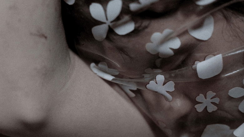 кадр из фильма Морверн Каллар