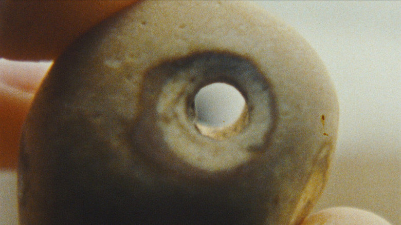 кадр из фильма Disappearances