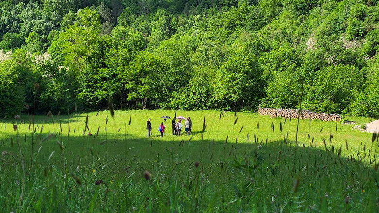 кадр из фильма Kud nas ostavi