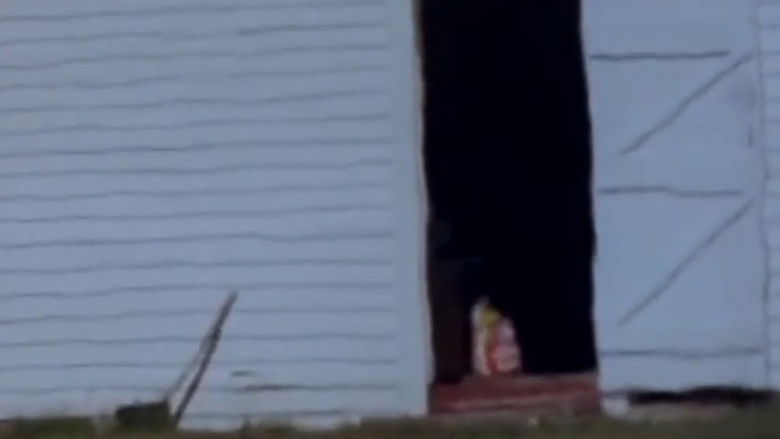 кадр из фильма Fraternity Farm