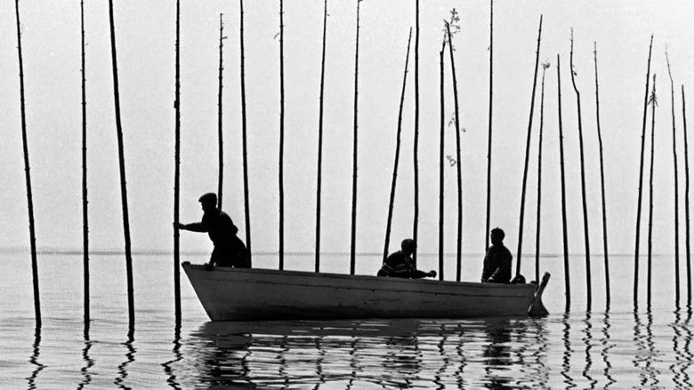 кадр из фильма Pour la suite du monde