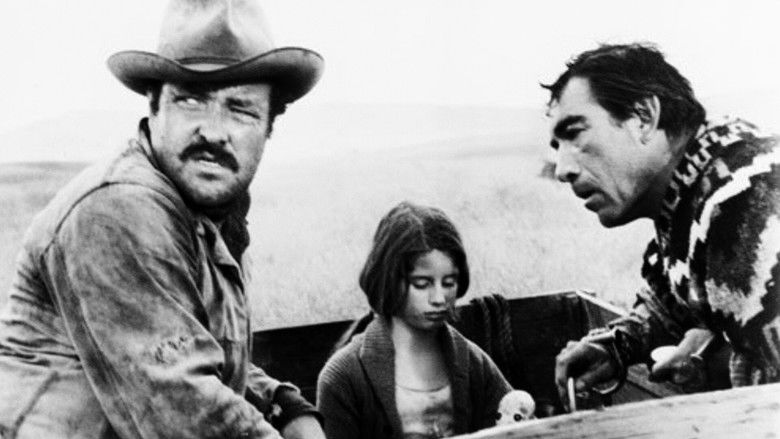 кадр из фильма Обратный путь