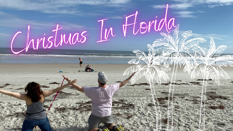 кадр из фильма Christmas In Florida