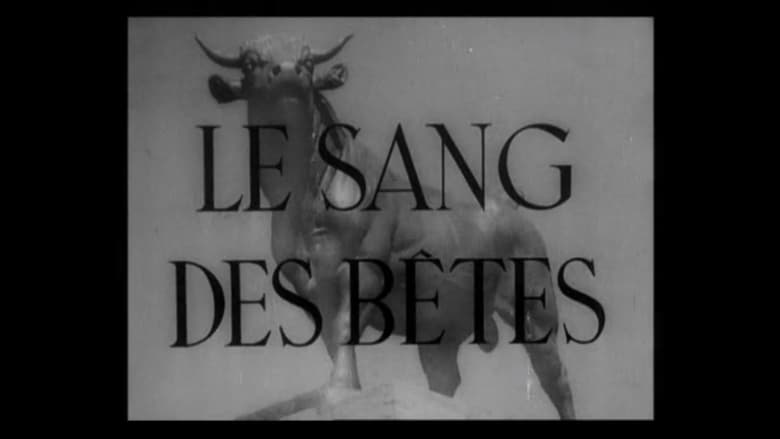 кадр из фильма Le sang des bêtes