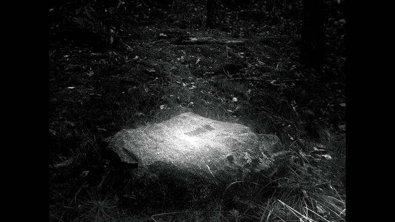 кадр из фильма амфіболос літос