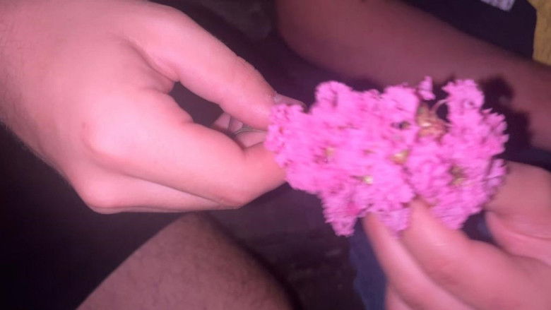 кадр из фильма Jordageddon