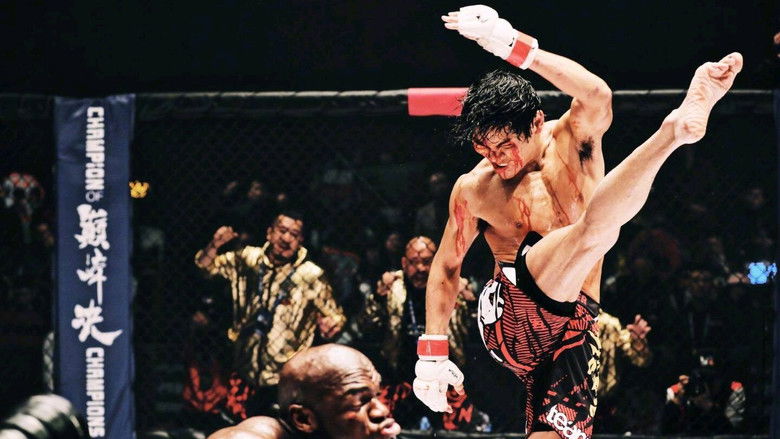 кадр из фильма 我的拳王男友