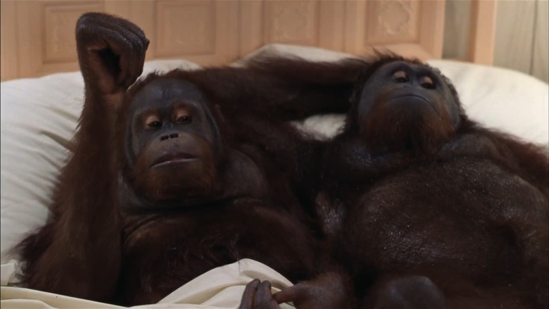 кадр из фильма Как только сможешь