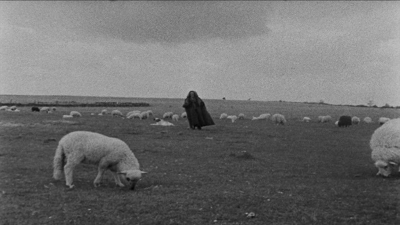 кадр из фильма Que Farei eu com Esta Espada?