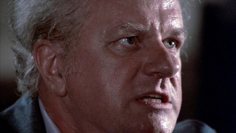 кадр из фильма Темная ночь пугала