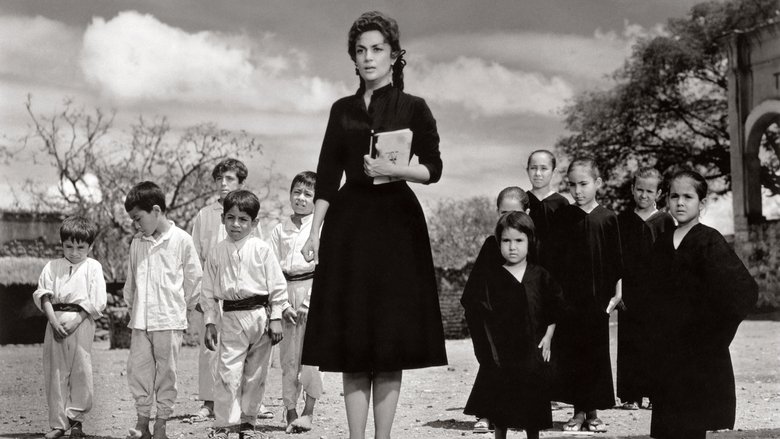 кадр из фильма Письма Росалии