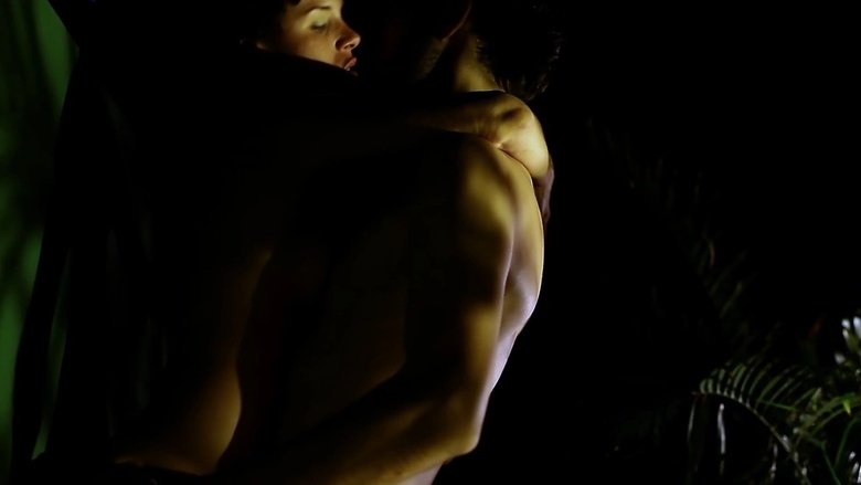 кадр из фильма O Animal Sonhado