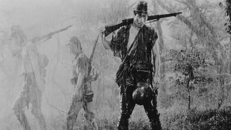 кадр из фильма Полевые огни