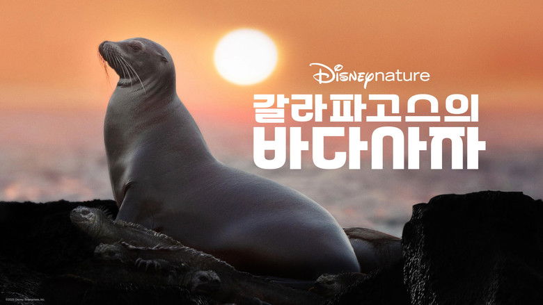 кадр из фильма Sea Lions of the Galapagos