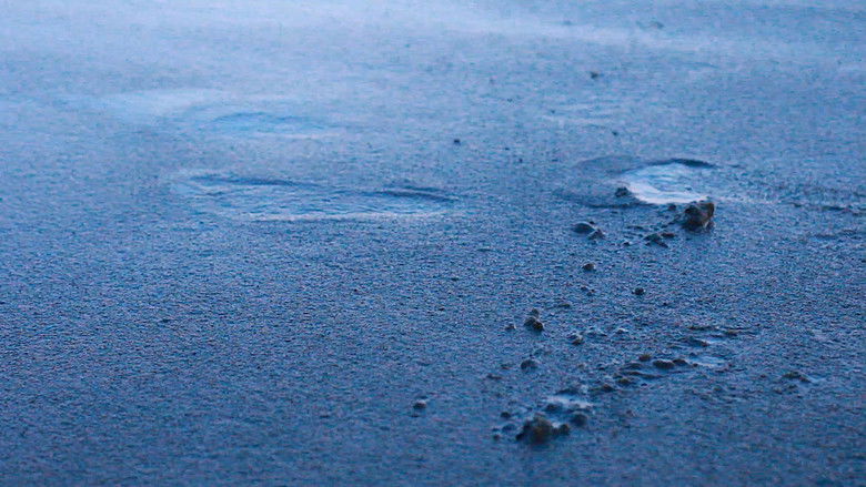 кадр из фильма Nariño y la Rambla