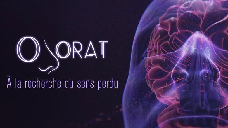 кадр из фильма Odorat : à la recherche du sens perdu