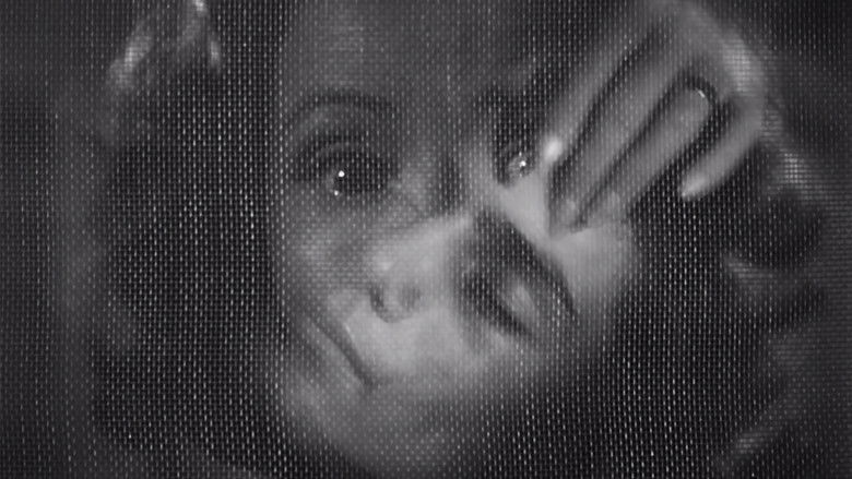 кадр из фильма El niño y la niebla