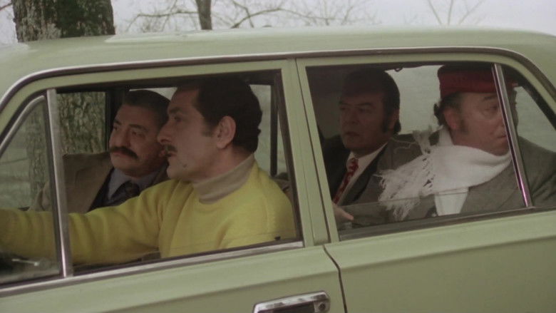 кадр из фильма Деревенская красотка