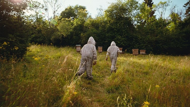 кадр из фильма Бугония