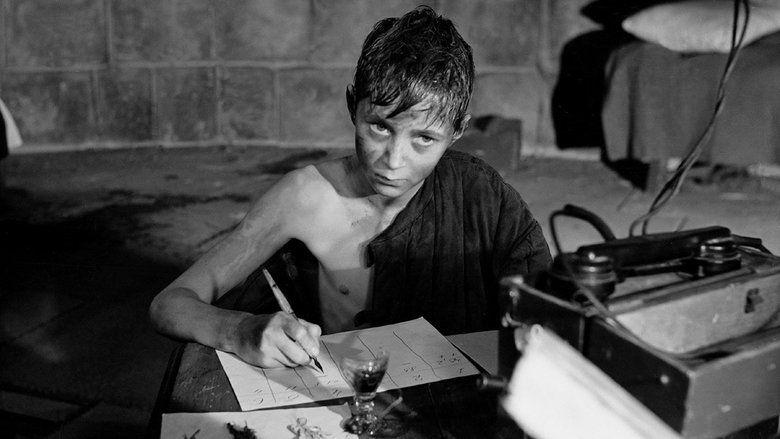 кадр из фильма Иваново детство