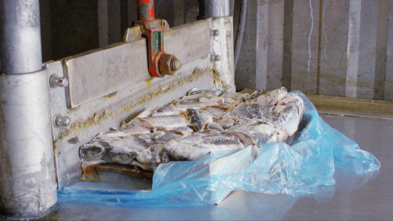 кадр из фильма Dumping Day