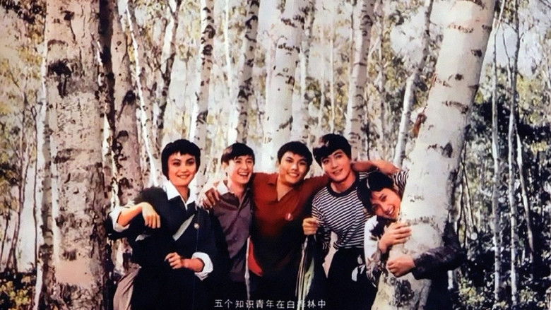 кадр из фильма 我们的田野