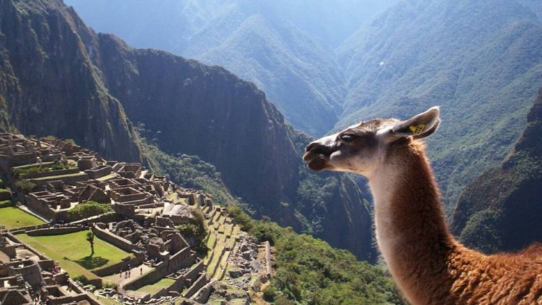кадр из фильма En busca de la ciudad perdida