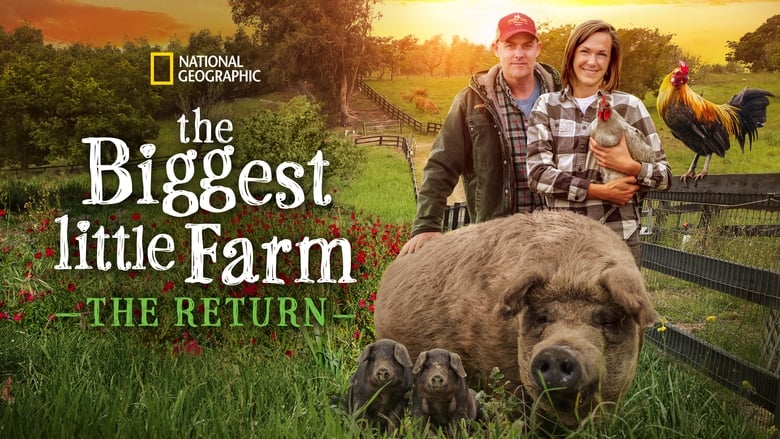 кадр из фильма The Biggest Little Farm: The Return
