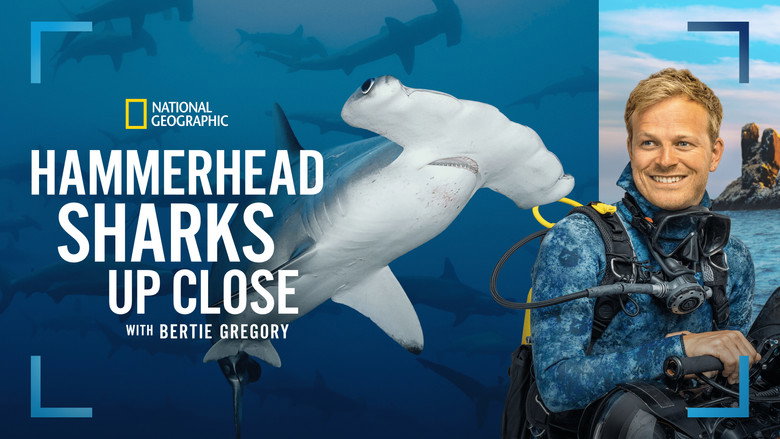 кадр из фильма Hammerhead Sharks Up Close with Bertie Gregory