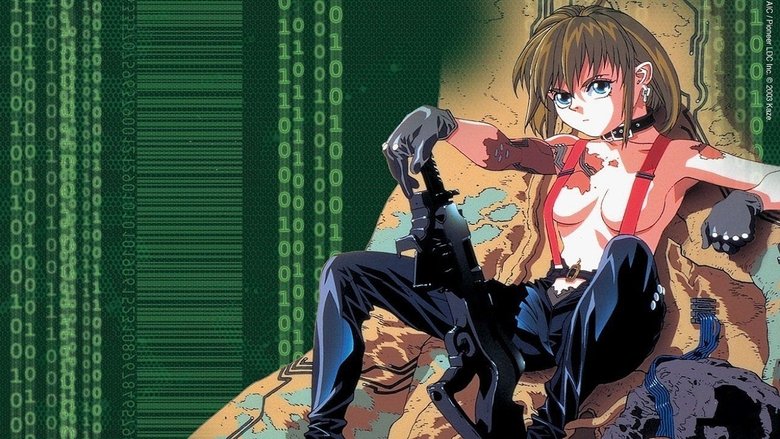 Армитаж: Полиматрица