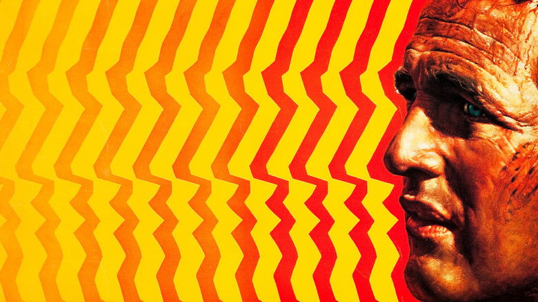 кадр из фильма Хладнокровный Люк