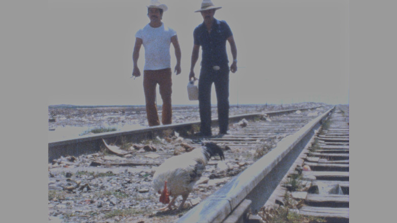 кадр из фильма Viaje de gallo