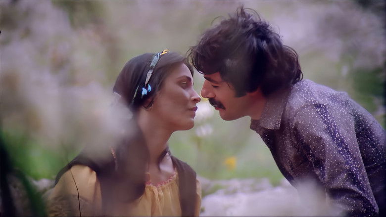 кадр из фильма Batan Güneş