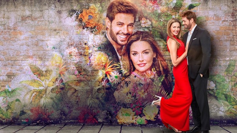 кадр из фильма South Beach Love