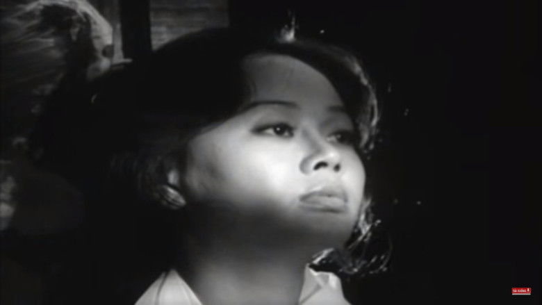 кадр из фильма Khoảng Cách Còn Lại