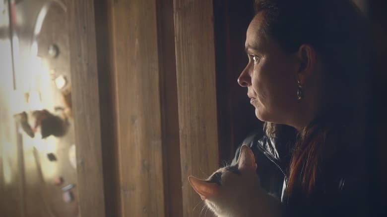 кадр из фильма Túl közel